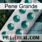 Big Penis dapoxetine1
